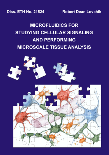 Dissertation Robert Lovchik